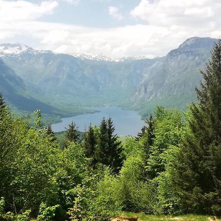 Apartment Ana Bohinj Eksteriør billede