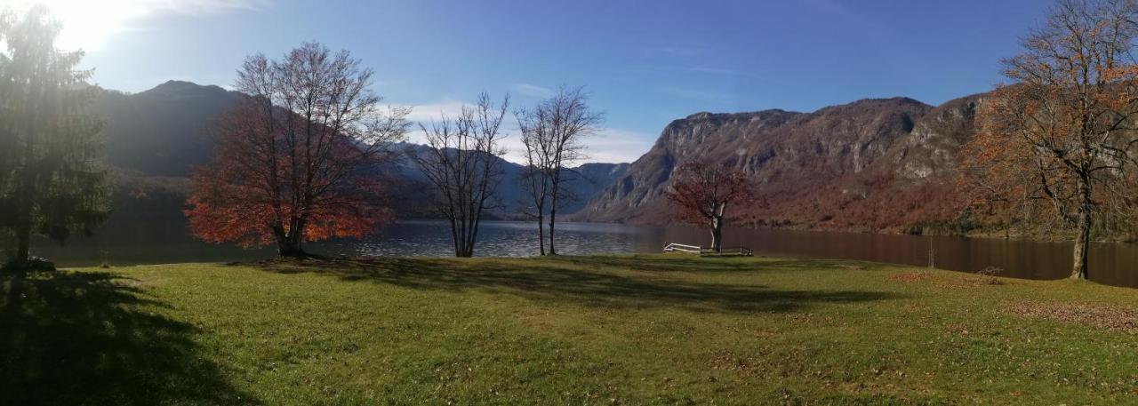 Apartment Ana Bohinj Eksteriør billede