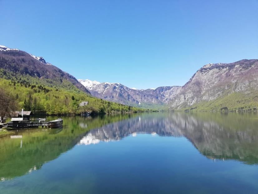 Apartment Ana Bohinj Eksteriør billede
