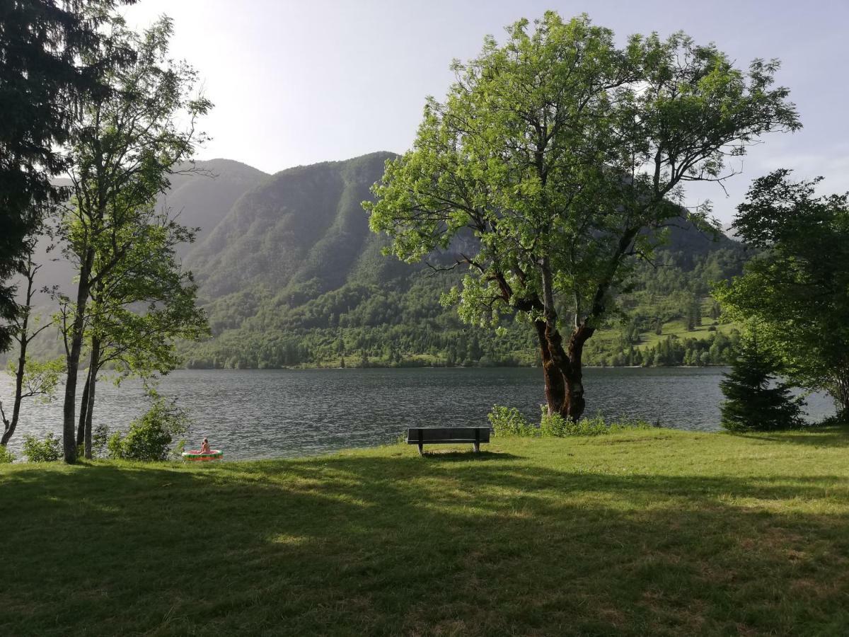 Apartment Ana Bohinj Eksteriør billede